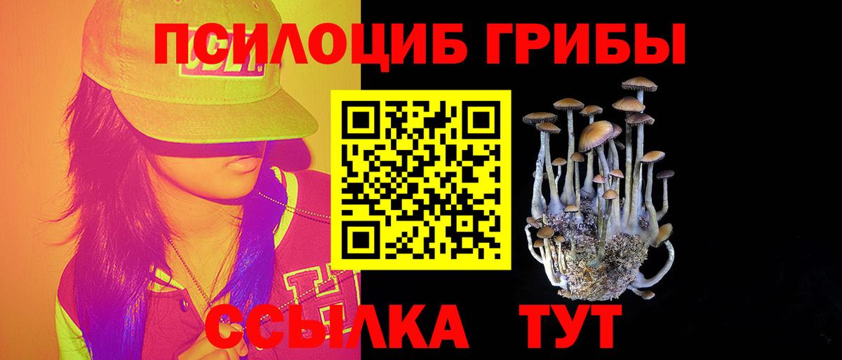 купить наркотики цена  Вход с VPN  Назарово  Галлюциногенные грибы Psilocybine cubensis 